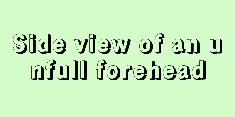 Side view of an unfull forehead