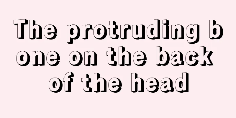 The protruding bone on the back of the head