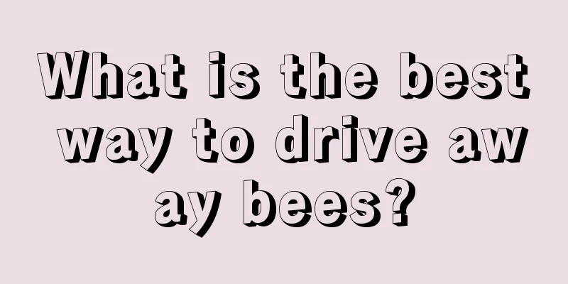 What is the best way to drive away bees?