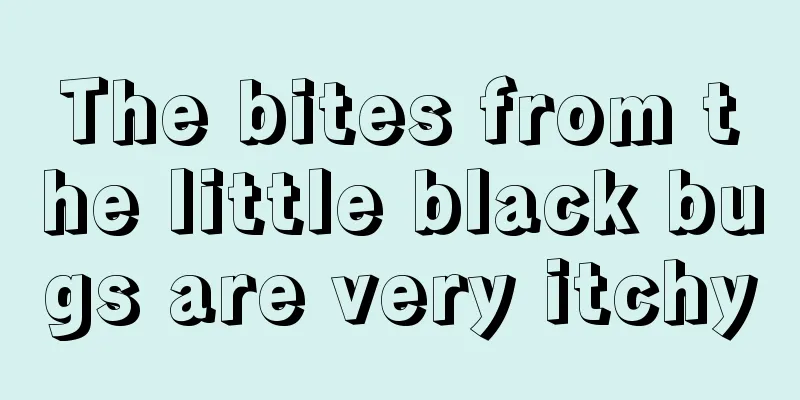 The bites from the little black bugs are very itchy