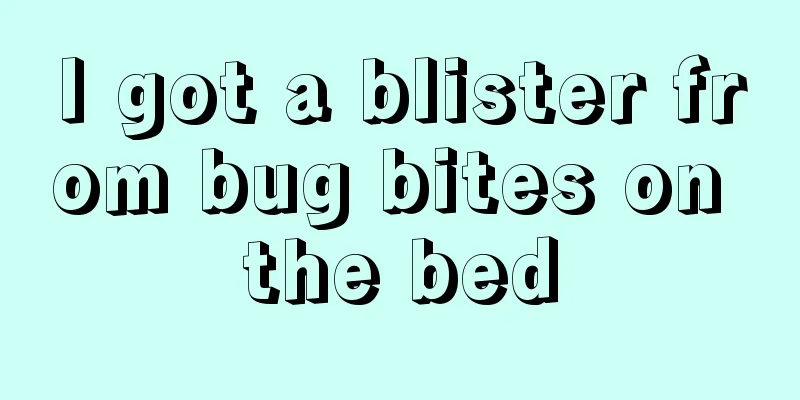 I got a blister from bug bites on the bed