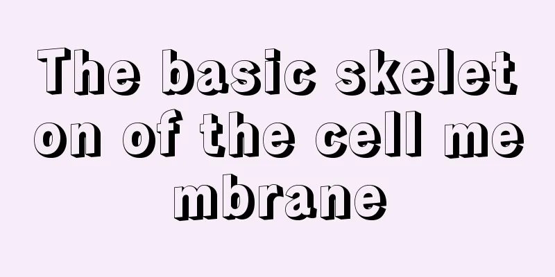 The basic skeleton of the cell membrane