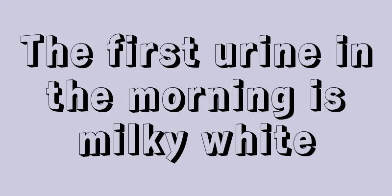 The first urine in the morning is milky white