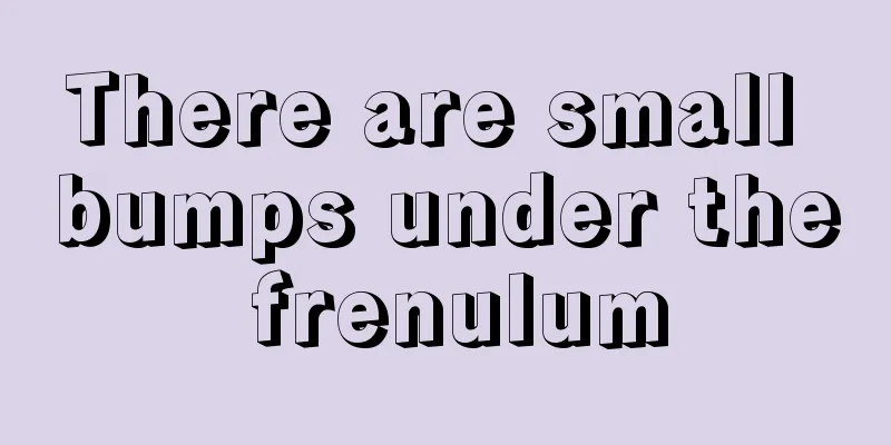 There are small bumps under the frenulum