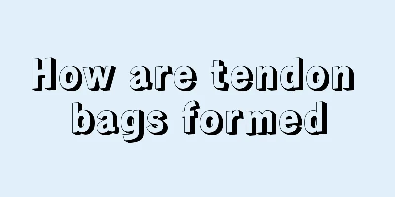 How are tendon bags formed