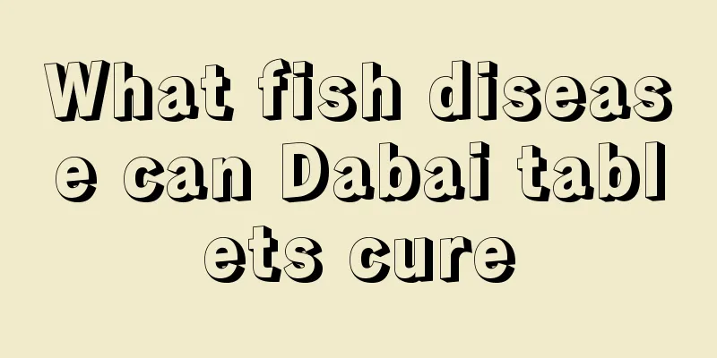 What fish disease can Dabai tablets cure