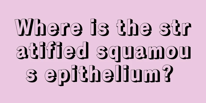 Where is the stratified squamous epithelium? 