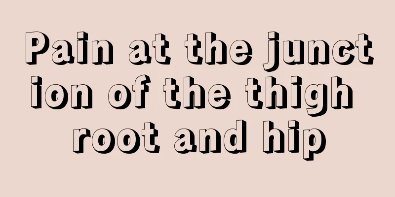 Pain at the junction of the thigh root and hip