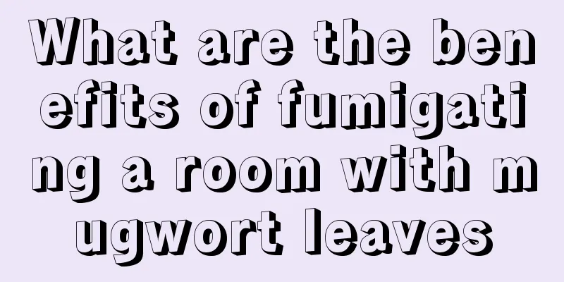 What are the benefits of fumigating a room with mugwort leaves