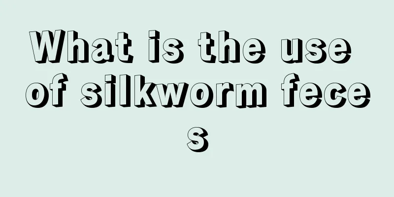 What is the use of silkworm feces