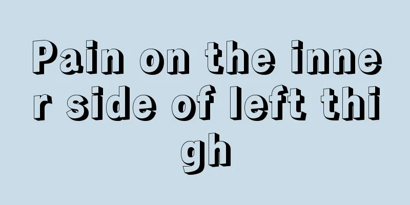 Pain on the inner side of left thigh