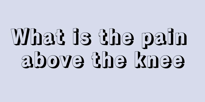 What is the pain above the knee