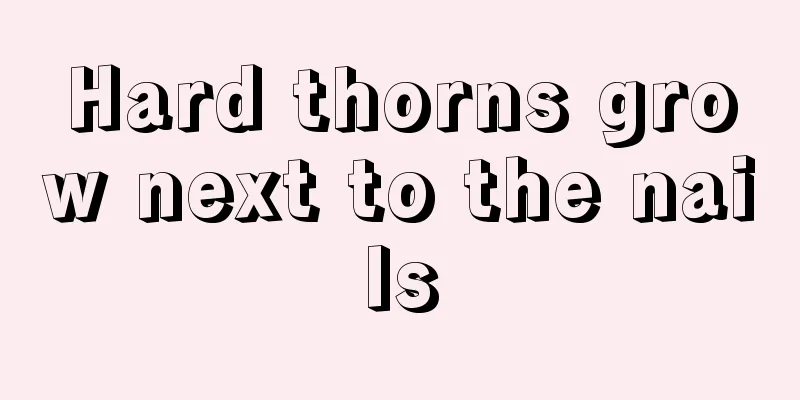Hard thorns grow next to the nails