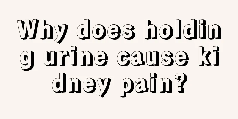 Why does holding urine cause kidney pain?