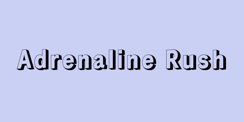 Adrenaline Rush