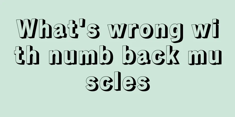 What's wrong with numb back muscles