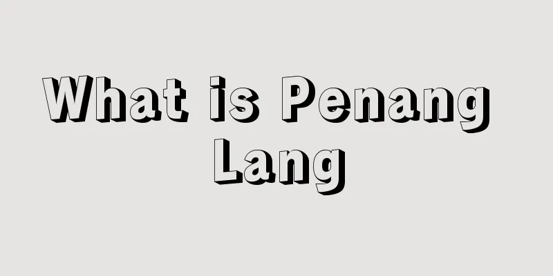 What is Penang Lang