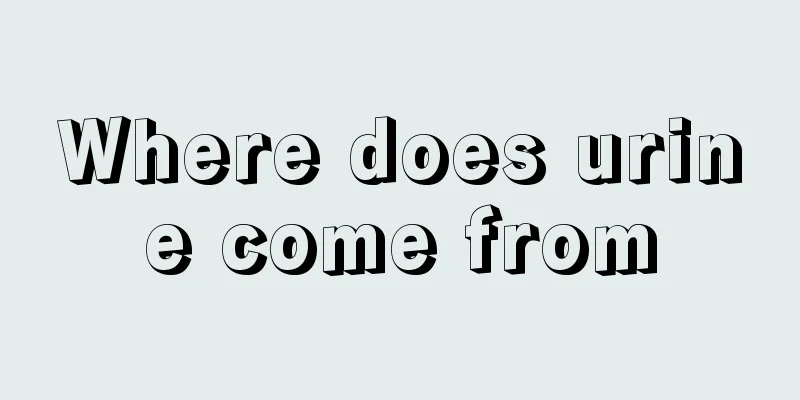 Where does urine come from