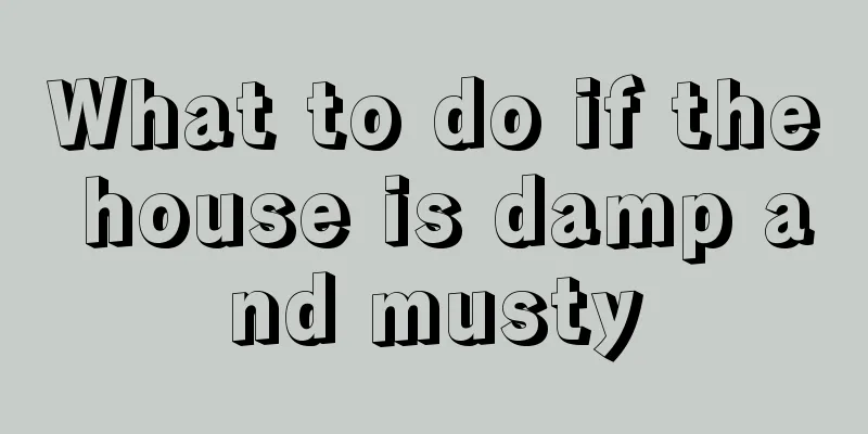 What to do if the house is damp and musty