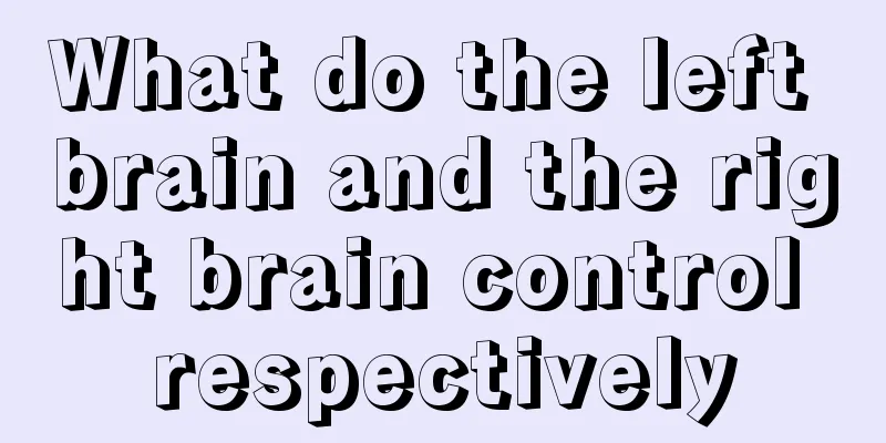 What do the left brain and the right brain control respectively
