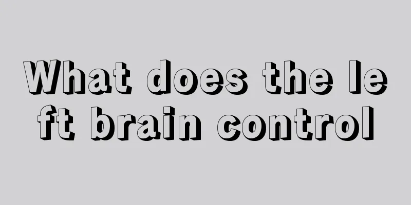 What does the left brain control