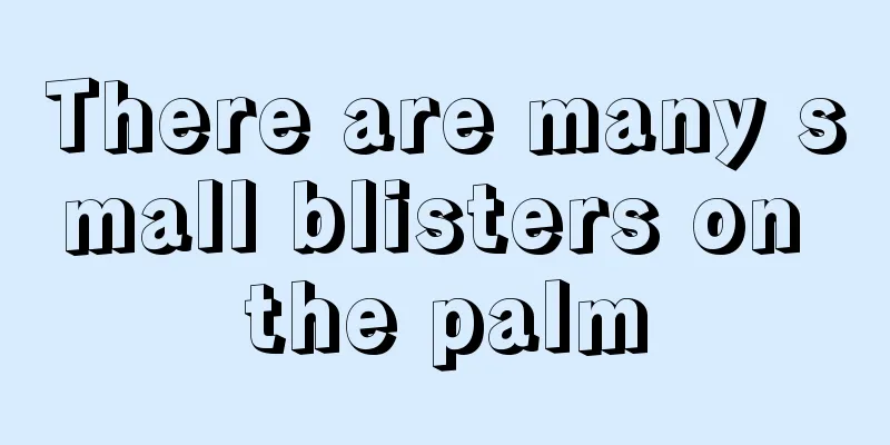 There are many small blisters on the palm