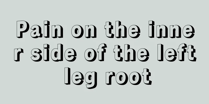 Pain on the inner side of the left leg root