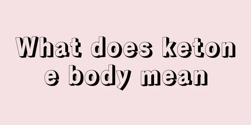 What does ketone body mean
