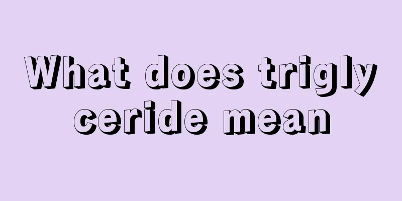 What does triglyceride mean