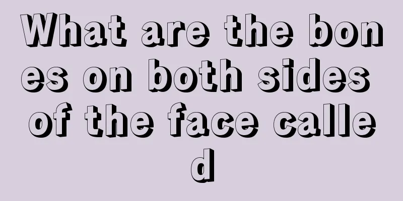 What are the bones on both sides of the face called
