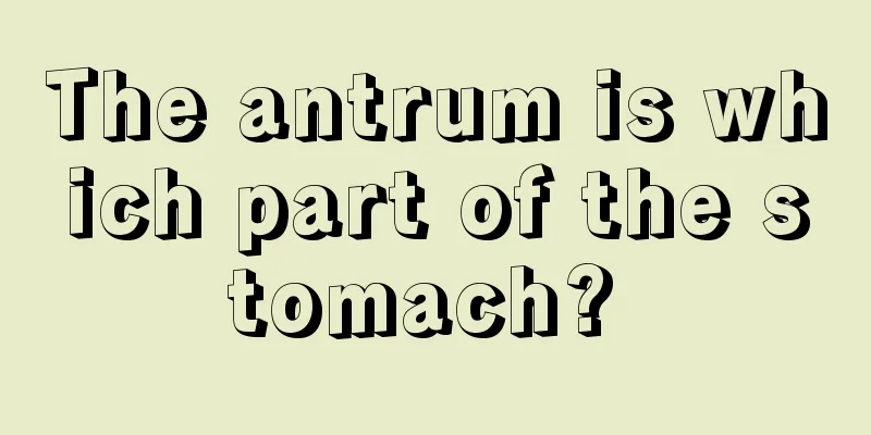 The antrum is which part of the stomach? 