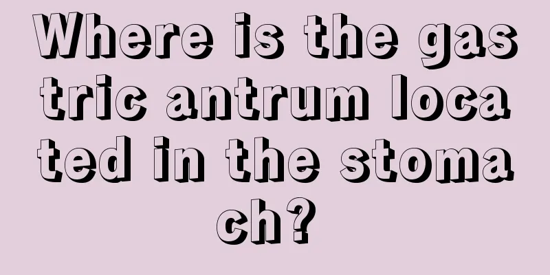 Where is the gastric antrum located in the stomach? 