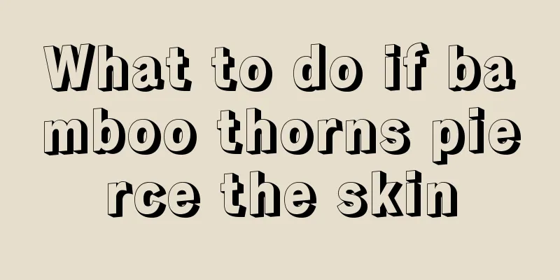 What to do if bamboo thorns pierce the skin