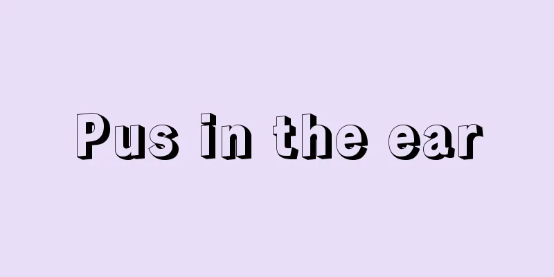 Pus in the ear