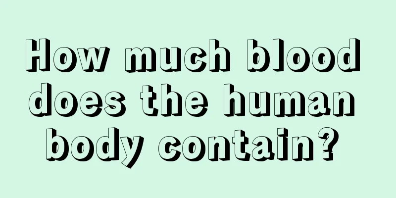 How much blood does the human body contain? 