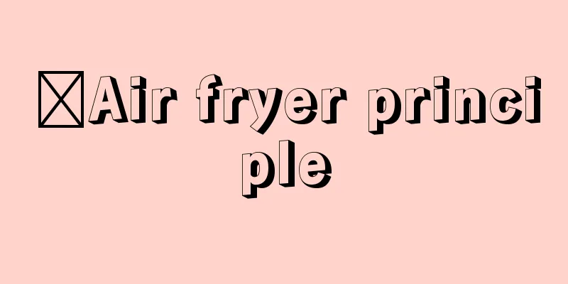 ​Air fryer principle