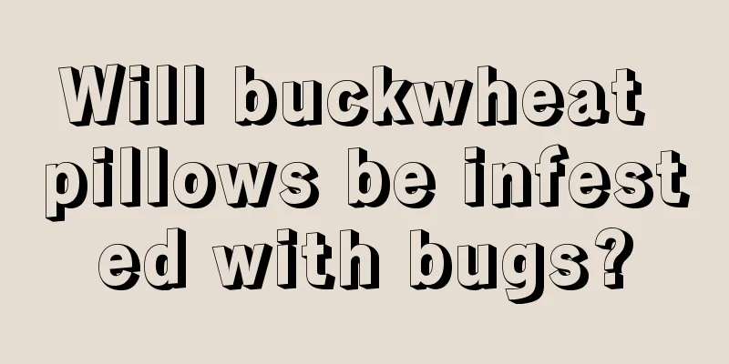 Will buckwheat pillows be infested with bugs?