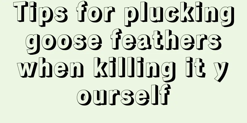 Tips for plucking goose feathers when killing it yourself