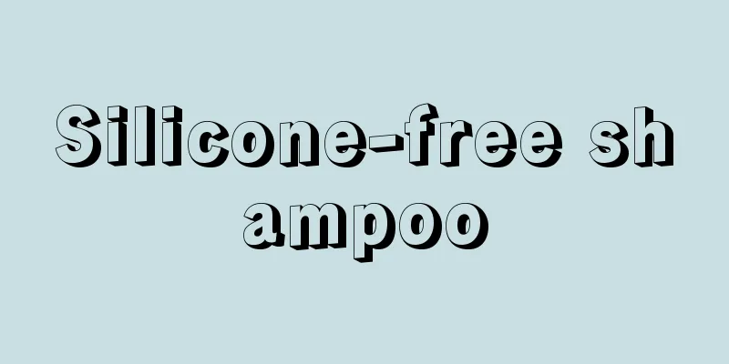 Silicone-free shampoo
