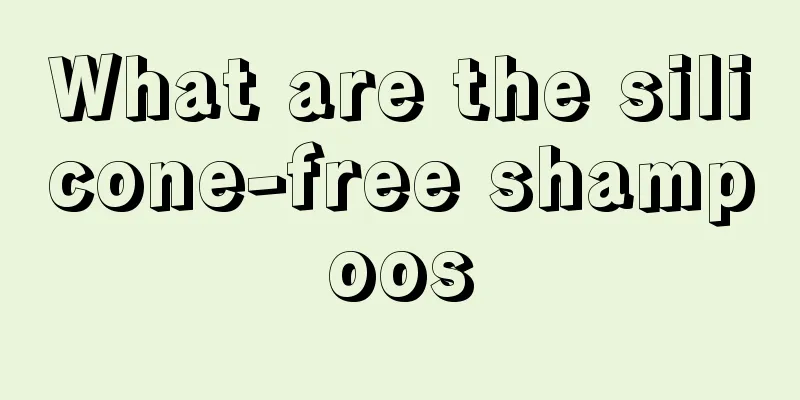 What are the silicone-free shampoos