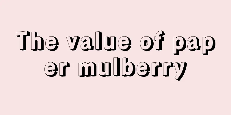 The value of paper mulberry