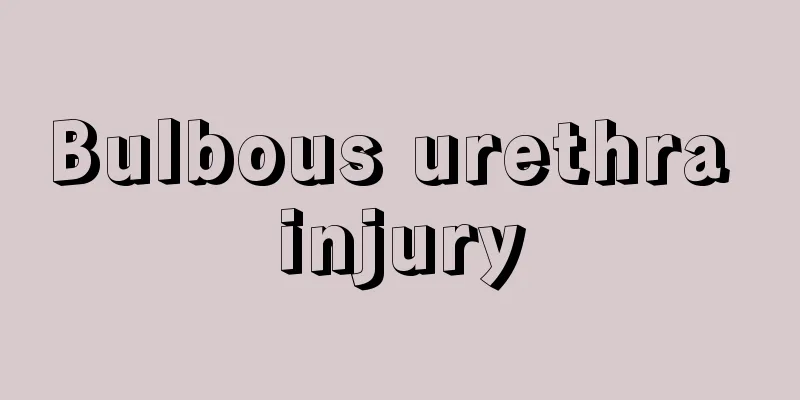 Bulbous urethra injury