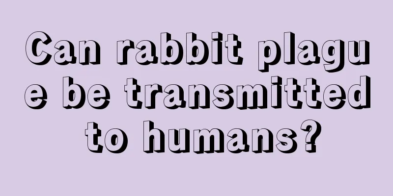 Can rabbit plague be transmitted to humans?