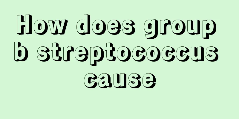 How does group b streptococcus cause