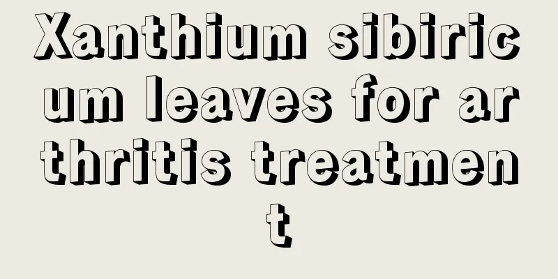 Xanthium sibiricum leaves for arthritis treatment