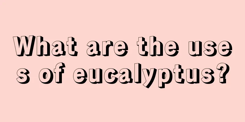 What are the uses of eucalyptus?