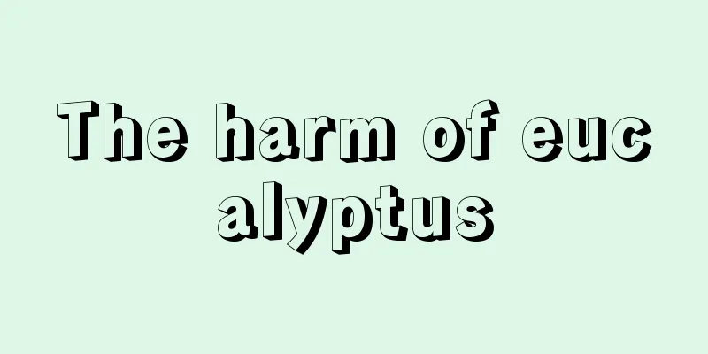 The harm of eucalyptus