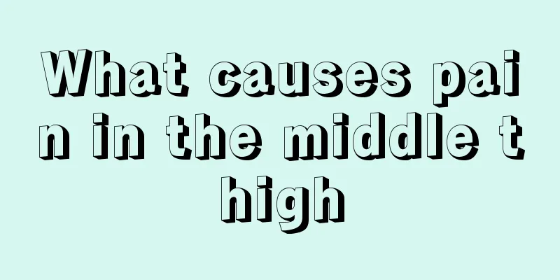 What causes pain in the middle thigh