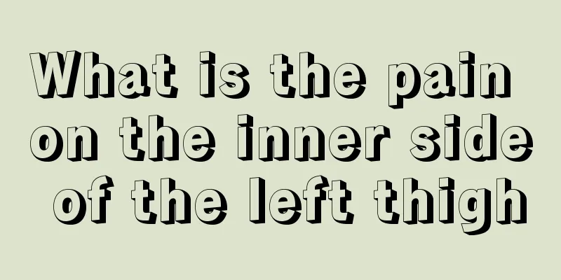 What is the pain on the inner side of the left thigh