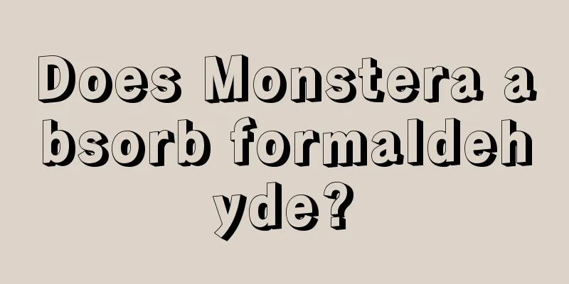 Does Monstera absorb formaldehyde?